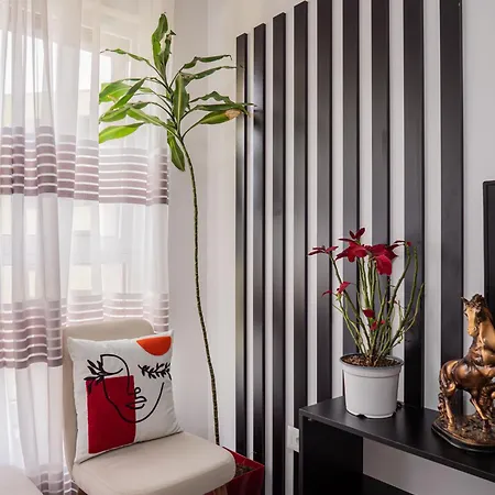 アパート Amber's Cozy Place ティラナ